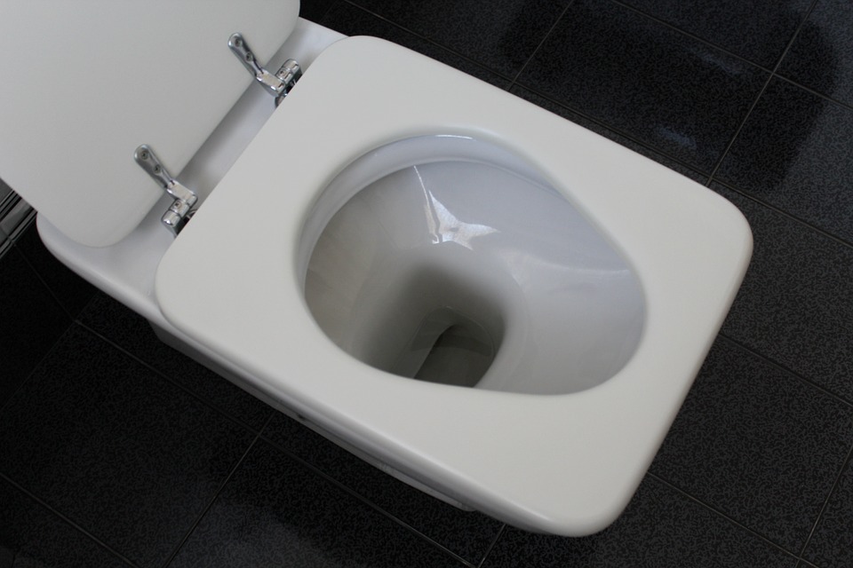 Running Toilet