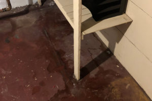 Wet Basement floor