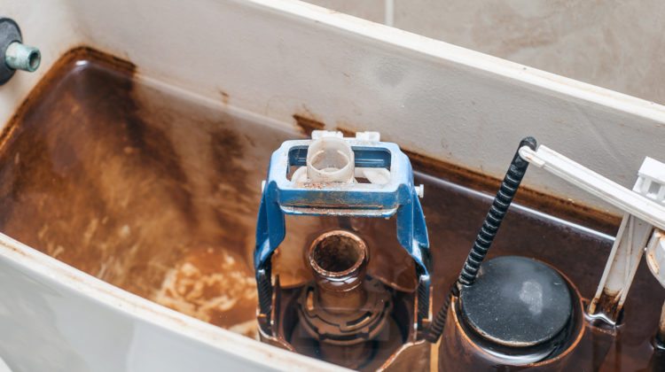 inside of a toilet tank