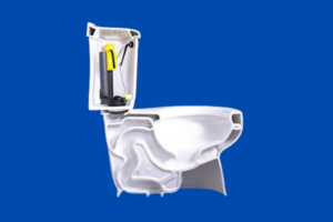 side cross-section diagram of toilet