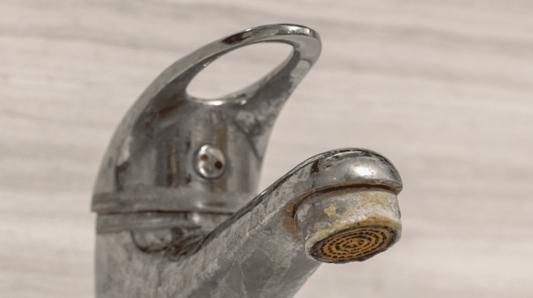Close-up of a bathroom faucet aerator with white hard water mineral deposits and limescale buildup, a common plumbing issue for Twin Cities homeowners.